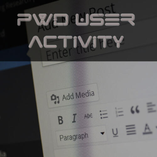 PWD User Activity Log LS